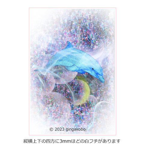 「流星になって」 月  星  イルカ　ほっこり癒しのイラストポストカード2枚組No.050