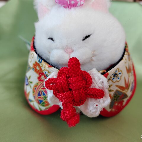 愛猫ちゃん和柄の首輪(赤い菊結び🎀丸襟)